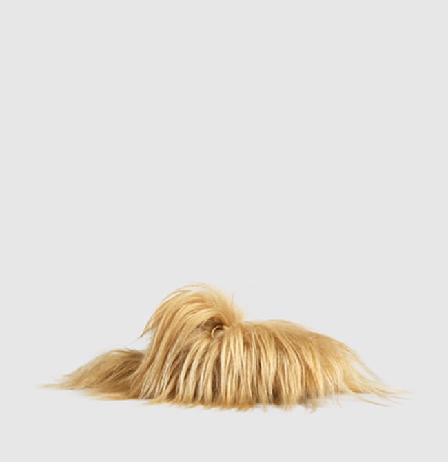 400101 DHV10 9772 001 web full new theme